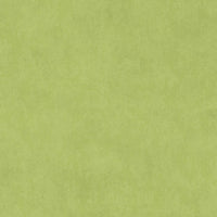 Tarkett Tapiflex Essential 50 Stamp Green 25094 202 Sheet Vinyl