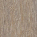 Forbo Allura 55 Dryback Steamed Oak 60293DR5