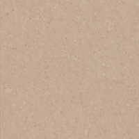 Forbo Sphera Element 50024 stone Sheet Vinyl