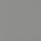 Polyflor Expona Flow PUR Cosmos