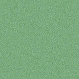 THH_HO_Primo_Safe_T_Green_643