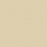 THH_LI_Linoleum_Originale_408_Raffia