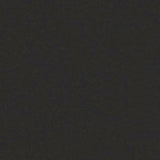 THH_LI_Linoleum_Originale_409_Carbon