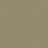 THH_LI_Linoleum_Originale_495_Lichen