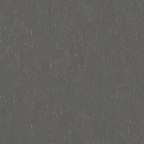 THH_LI_Linoleum_Trentino_503_Grey-Pepper