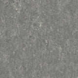 THH_LI_Linoleum_Veneto_604_Pebble