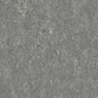 Tarkett Veneto Sicuro xf2 R10 Linoleum Pebble 604 Linoleum
