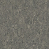 THH_LI_Linoleum_Veneto_608_Smoke