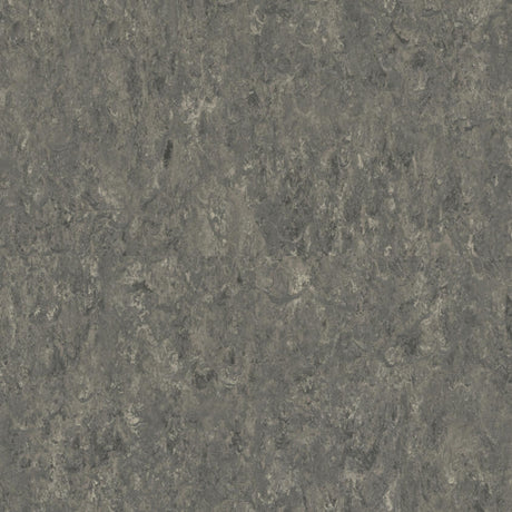 THH_LI_Linoleum_Veneto_608_Smoke