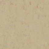 THH_LI_Linoleum_Veneto_611_Sisal