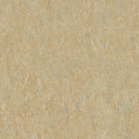 Tarkett Veneto Sicuro xf2 R10 Linoleum Camel 616 Linoleum