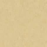 THH_LI_Linoleum_Veneto_619_Eggshell
