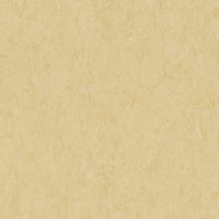 Tarkett Veneto Sicuro xf2 R10 Linoleum Eggshell 619 Linoleum