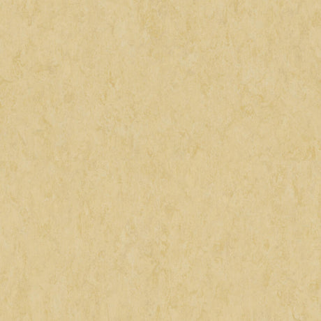 THH_LI_Linoleum_Veneto_619_Eggshell