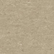 THH_LI_Linoleum_Veneto_625_Silk