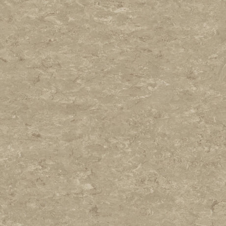 THH_LI_Linoleum_Veneto_625_Silk
