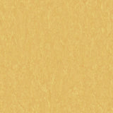 THH_LI_Linoleum_Veneto_628_Sunflower