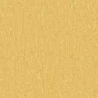 Tarkett Veneto Sicuro xf2 R10 Linoleum Sunflower 628 Linoleum