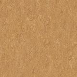 THH_LI_Linoleum_Veneto_634_Copper