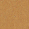 THH_LI_Linoleum_Veneto_636_Amber