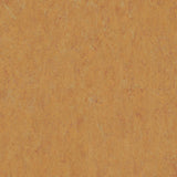 THH_LI_Linoleum_Veneto_636_Amber