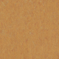 Tarkett Veneto Sicuro xf2 R10 Linoleum Amber 636 Linoleum