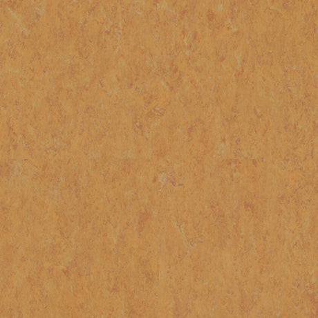 THH_LI_Linoleum_Veneto_636_Amber
