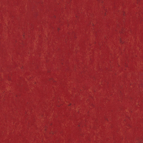 THH_LI_Linoleum_Veneto_645_Carmine