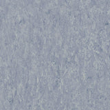 THH_LI_Linoleum_Veneto_663_Horizon