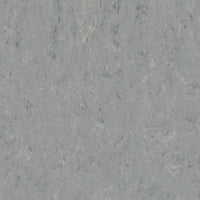 Tarkett Veneto Sicuro xf2 R10 Linoleum Zinc 671 Linoleum
