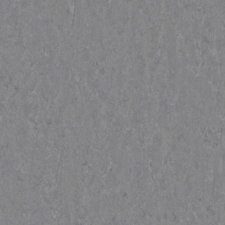 THH_LI_Linoleum_Veneto_673_Steel