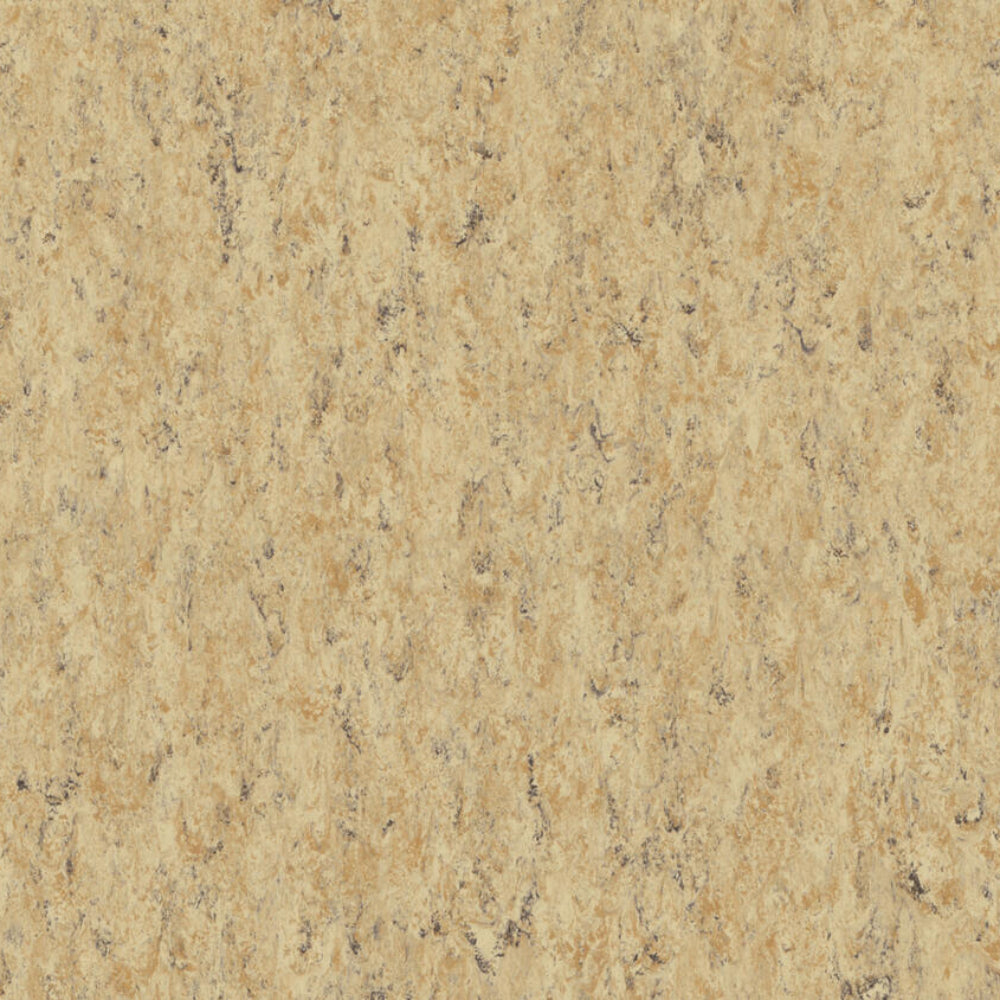 THH_LI_Linoleum_Veneto_679_Cork