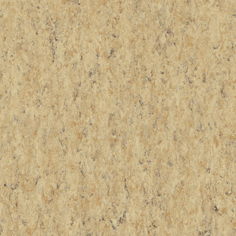 THH_LI_Linoleum_Veneto_679_Cork