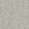 THH_LI_Linoleum_Veneto_684_Platinium