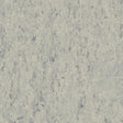 THH_LI_Linoleum_Veneto_684_Platinium