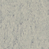 THH_LI_Linoleum_Veneto_684_Platinium