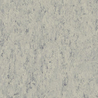 Tarkett Veneto Sicuro xf2 R10 Linoleum Platinum 684 Linoleum
