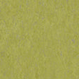 THH_LI_Linoleum_Veneto_695_Absinthe
