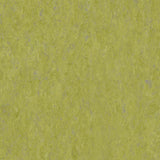 THH_LI_Linoleum_Veneto_695_Absinthe