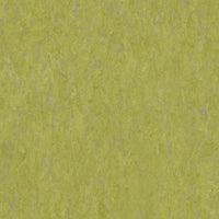 Tarkett Veneto Sicuro xf2 R10 Linoleum Absinthe 695 Linoleum
