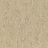 THH_LI_Linoleum_Veneto_711_Ecru