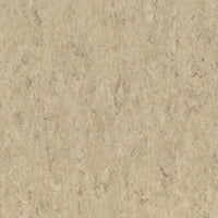 Tarkett Veneto Sicuro xf2 R10 Linoleum Ecru 711 Linoleum