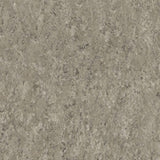 THH_LI_Linoleum_Veneto_714_Taupe-Dark