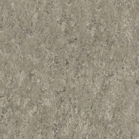 Tarkett Veneto Sicuro xf2 R10 Linoleum Taupe Dark 714 Linoleum