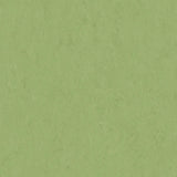 THH_LI_Linoleum_Veneto_754_Apple-Green