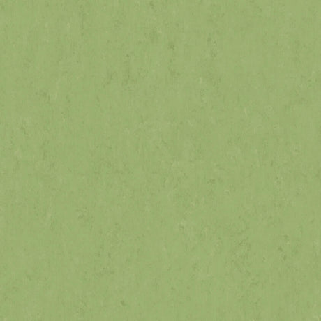 THH_LI_Linoleum_Veneto_754_Apple-Green