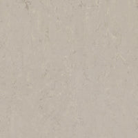 Tarkett Veneto Sicuro xf2 R10 Linoleum Burlap 911 Linoleum