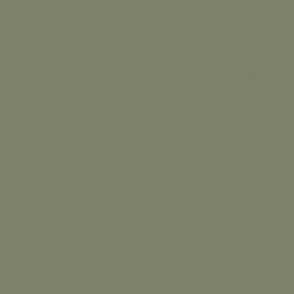 THH_LI_Linowall_191_Crocodile