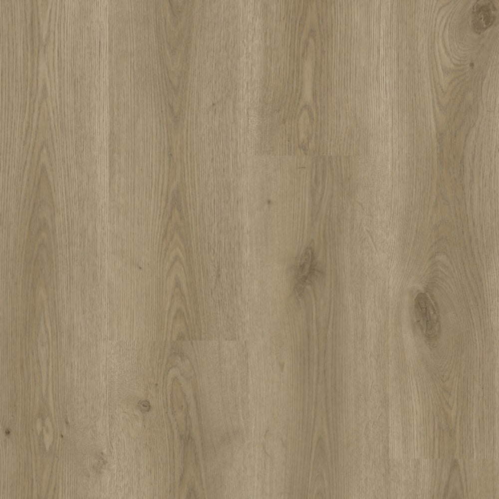 THH_LVT_iD_CLASSICS_Contemporary_Oak_Natural