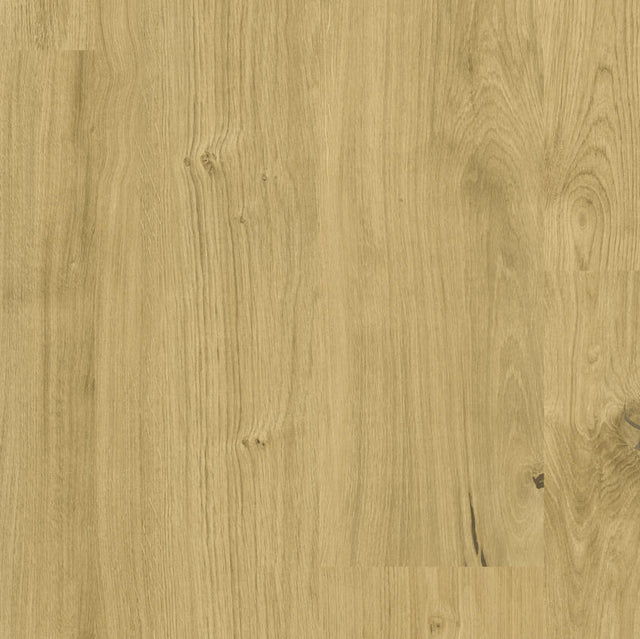 THH_LVT_iD_NATURALS_Nomad_Oak_Toast